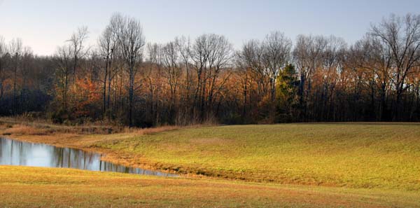 DSC_0024