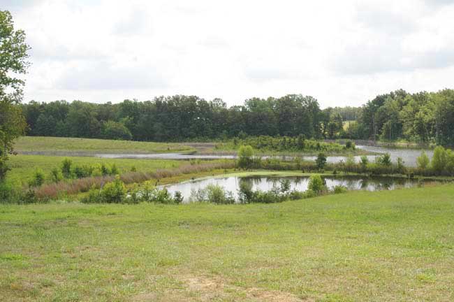 Farm003
