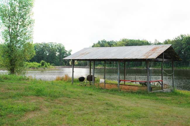 Farm005