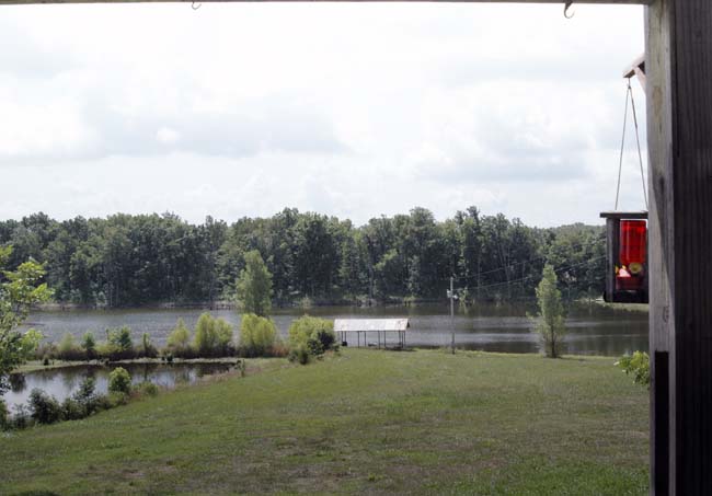 Farm035