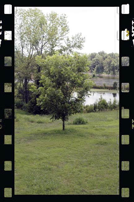 Farm036