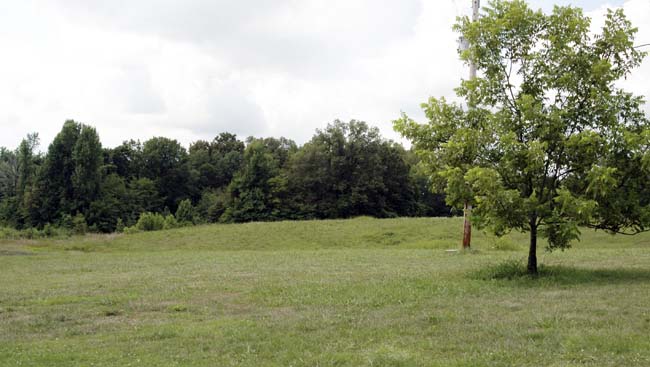Farm041