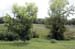 Farm039