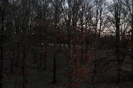 Project_20071217_0004