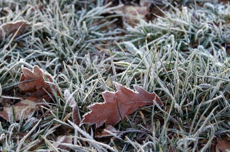 Project_20071217_0005