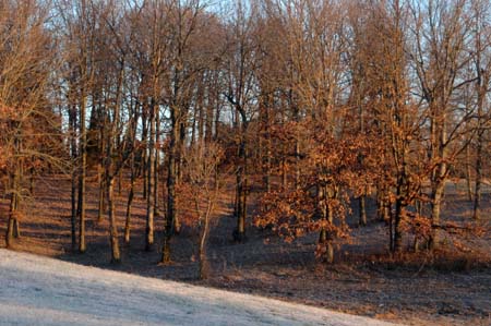 Project_20071217_0011