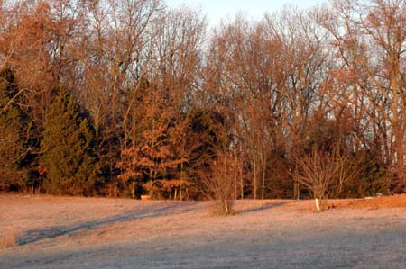 Project_20071217_0012