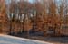 Project_20071217_0011